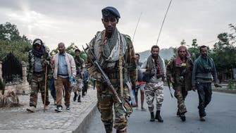 ارتش آزادی‌بخش اورومو: پیروزی ما در آدیس‌آبابا بسیار نزدیک است