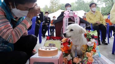 A dog that saved a 90-year-old woman’s life after she fainted in a rice field has been named South Korea’s first honorary rescue dog. (Twitter)