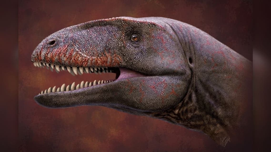 Scientists have discovered an apex predator dinosaur with huge shark-like teeth . (Twitter)