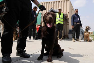 This picture taken on September 12, 2021, shows handlers training dogs which were left behind during last month's chaotic evacuations from Afghanistan, in a makeshift training center at the airport in Kabul. (AFP)