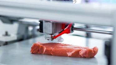 3D-Printed-Steak