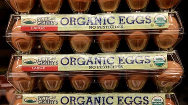 Pete and Gerry's organic eggs are seen at a store in Wheaton, Maryland. (File Photo: Reuters)