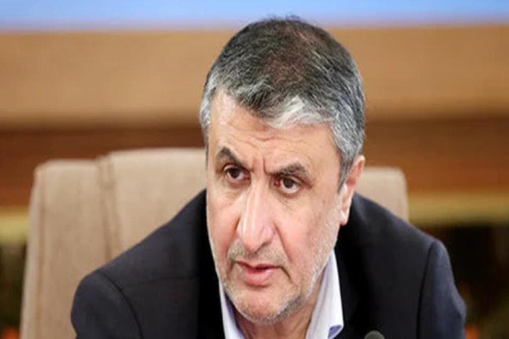 محمد اسلامی، رئیس سازمان انرژی اتمی ایران