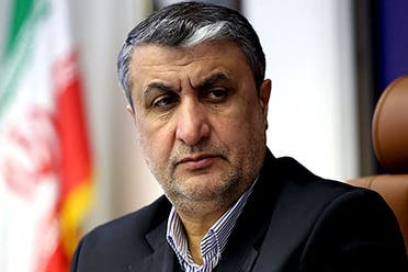  رئيس منظمة الطاقة الذرية الإيرانية محمد إسلامي 