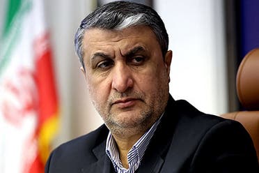 رئيس منظمة الطاقة الذرية الإيرانية محمد إسلامي