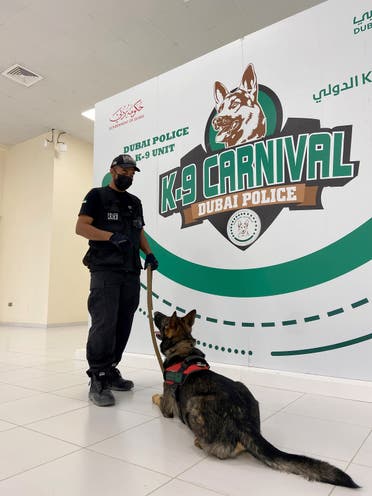 A dog that has been trained by Dubai Police K-9 unit to sniff out COVID-19 looks at his trainer in Dubai, United Arab Emirates, September 13, 2021. (Reuters/Abdel Hadi Ramahi)