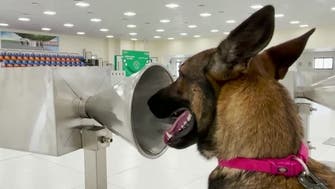 Dubai Police trains sniffer dogs to detect COVID-19 using human sweat samples