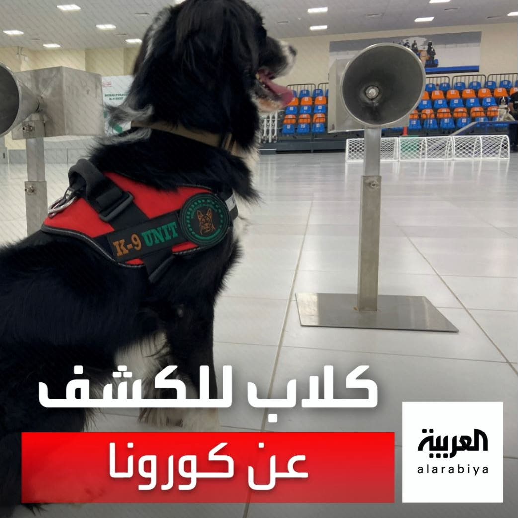 باستخدام حاسة الشم.. كلاب تكشف عن كورونا في مطارات دبي