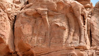 سعودی عرب میں چٹانوں پرکندہ اونٹوں کے قریباً7000 سال پرانے نقش ونگارکی دریافت