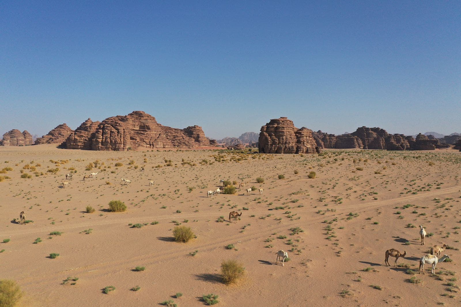 Jeddah Mountains Embrace the Desert