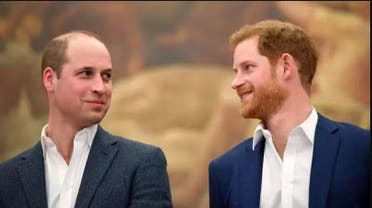 Princes Charles and William 