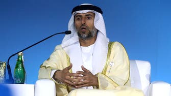 UAE energy minister sees energy demand increasing, can’t rule out fossil fuels