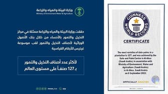 سعودی عرب: الاحسا کی 127 اقسام کی کھجوریں گینز بک میں شامل