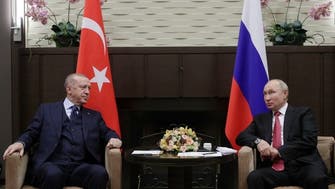 Putin tells Erdogan Russia ready to export fertilizers, food if sanctions are lifted