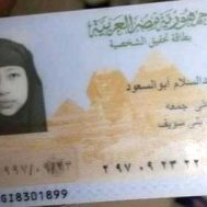 بينهم امرأة.. تفاصيل المصريين المتورطين باغتيال ضباط سودانيين