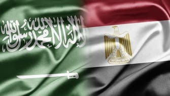 Egypt, Saudi Arabia, and the Future