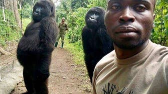 Gorilla made famous from 2019 selfie, Ndakasi, dies in arms of zoo keeper