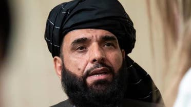 سهیل شاهین، سخنگوی طالبان در قطر