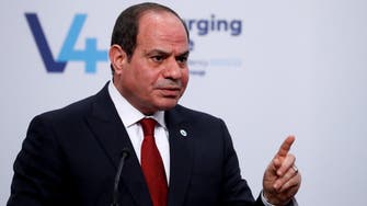 Egyptian President Sisi calls for revamp of costly subsidy system