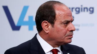 Egypt working to restore peace in Gaza: President al-Sisi