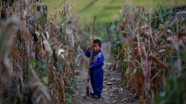 A North Korean boy holds a spade in a corn field in area damaged by recent floods and typhoons in the Soksa-Ri collective farm in the South Hwanghae province September 29, 2011. (File photo: Reuters)