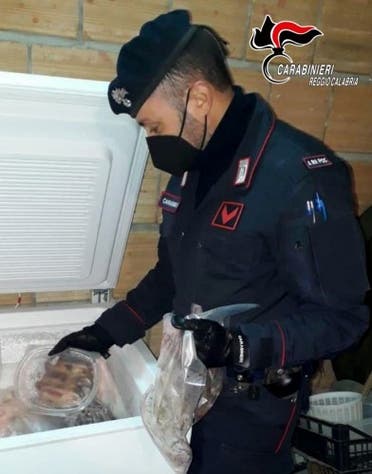 شرطي إيطالي يكشف شحنة القوارض المجمدة