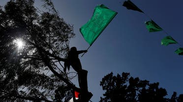 A Palestinian demonstrator climbing a tree holds a Hamas flag during a protest against US former President Donald Trump's Middle East peace plan, in the northern Gaza Strip, January 31, 2020. (Reuters)  
