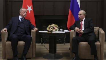 Russian President Vladimir Putin meets with his Turkish counterpart Recep Tayyip Erdogan in Sochi on September 29, 2021. (AFP)