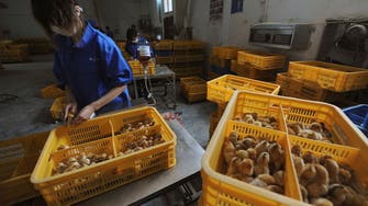 France orders poultry lockdown due to bird flu                         