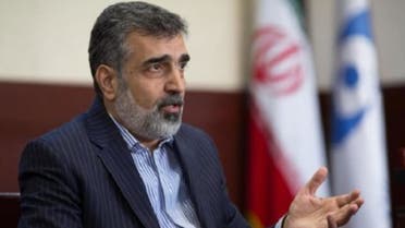 کمالوندی، سخنگوی سازمان انرژی اتمی ایران