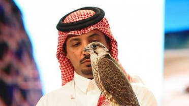 Saudi falcon club