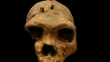 جمجمة إنسان عاش قبل 500 ألف عام