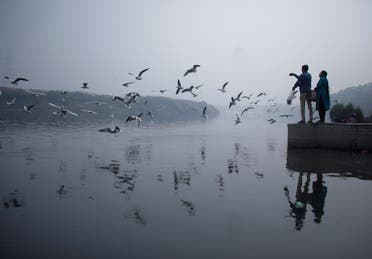 A couple feeds seagulls as they stand on the banks of Yamuna river, on a smoggy morning in New Delhi, India November 4, 2021. REUTERS/Adnan Abidi