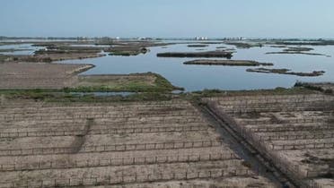 The Ghar El Melh wetlands that are being irrigated. (Reuters)