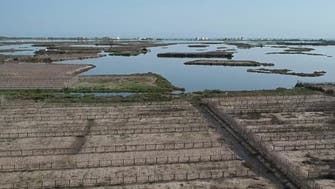 Tunisia’s lagoon farmers cling on as sea level rises