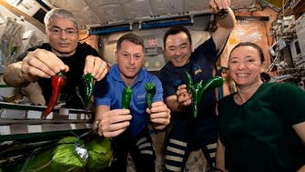 High wind delays SpaceX crew homecoming after six months in orbit
