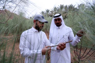 Mishaal Sabah, an agricultural training supervisor, and Waleed al-Toailei, a farmer, show their products, in AlUla, Saudi Arabia, October 31, 2021. (Reuters)