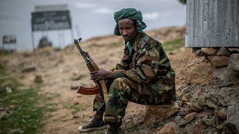 آمریکا و اتحادیه آفریقا بر ضرورت همکاری برای حل بحران اتیوپی تاکید کردند