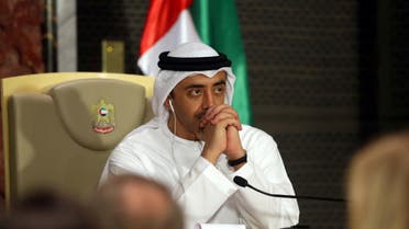  وزير الخارجية الإماراتي الشيخ عبدالله بن زايد آل نهيان(أرشيفية- فرانس برس)