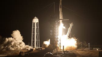  SpaceX capsule with crew of four docks with ISS                       