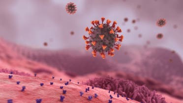 صورة توضيحية (موقع XVIVO SCIENTIFIC ANIMATION)