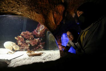Visitors take a closer look at the Horseshoe Crab at the newly opened The National Aquarium Abu Dhabi, the largest aquarium in the Middle East and home to around 46,000 aquatic animals, in Abu Dhabi, UAE, November 11, 2021. (Reuters)