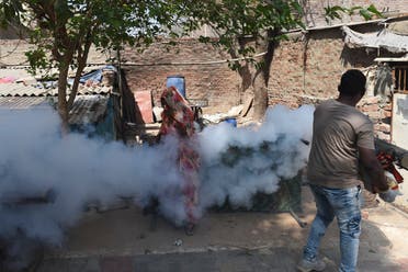 حملة تعقيم في الهند بعد تفشي انفلونزا الطيور في مارس الماضي قرب أحمدأباد