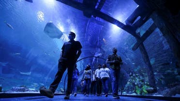 Visitors walk in the tunnel of the newly opened The National Aquarium Abu Dhabi, the largest aquarium in the Middle East and home to around 46,000 aquatic animals, in Abu Dhabi, UAE, on November 11, 2021.  (Reuters)