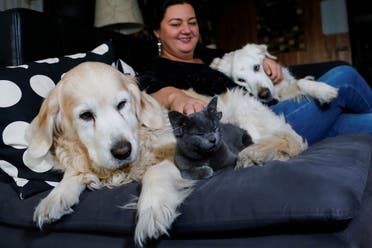 ميداس مع الكلبين سوزي وزينو