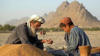 درخواست کمک فوری 115 میلیون دلاری «FAO» برای کشاورزان افغانستان