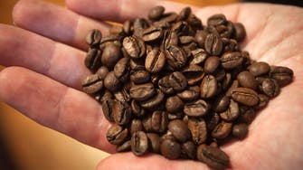 صدمة جديدة لعشاق القهوة.. اقتلاع أشجار البن في أكبر منتج عالمي لـ "الروبوستا"