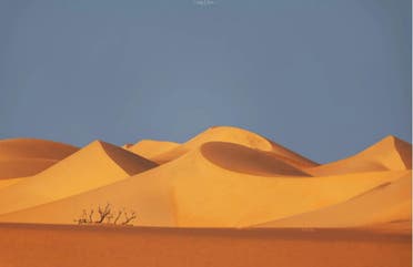 تپه‌های شنی طلایی رنگ در قاب عکس الشهرانی 