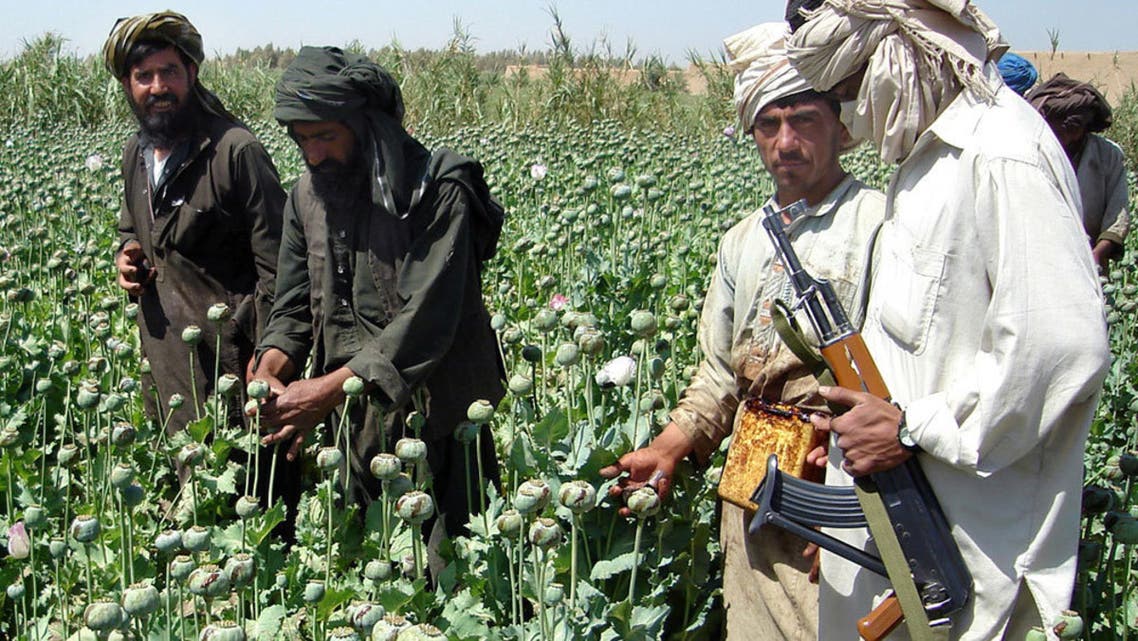 کشت کوکنار طالبان در افغانستان