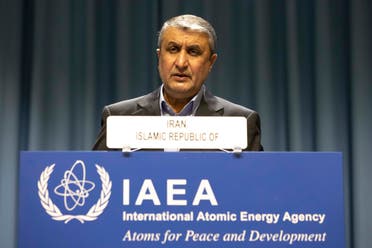 رئيس منظمة الطاقة الذرية الإيرانية محمد إسلامي (أرشيفية- أسوشييتد برس)